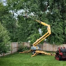 Best Root Management and Removal  in Lynden, WA